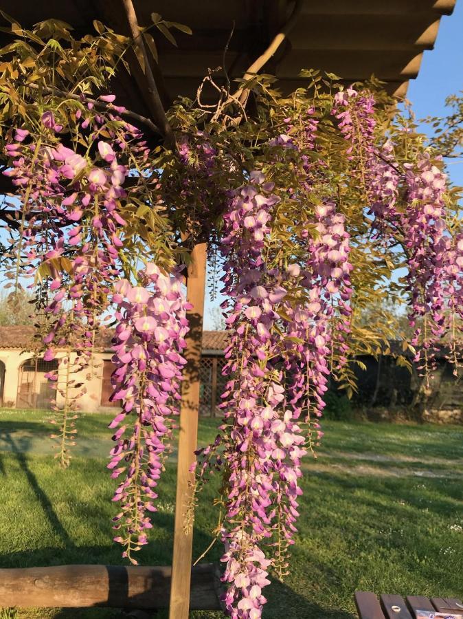 Agriturismo Corte Galvagnina Cesole Extérieur photo